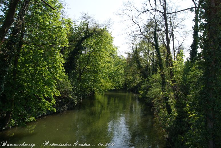 Braunschweig_Botanischer_Garten_2011_01