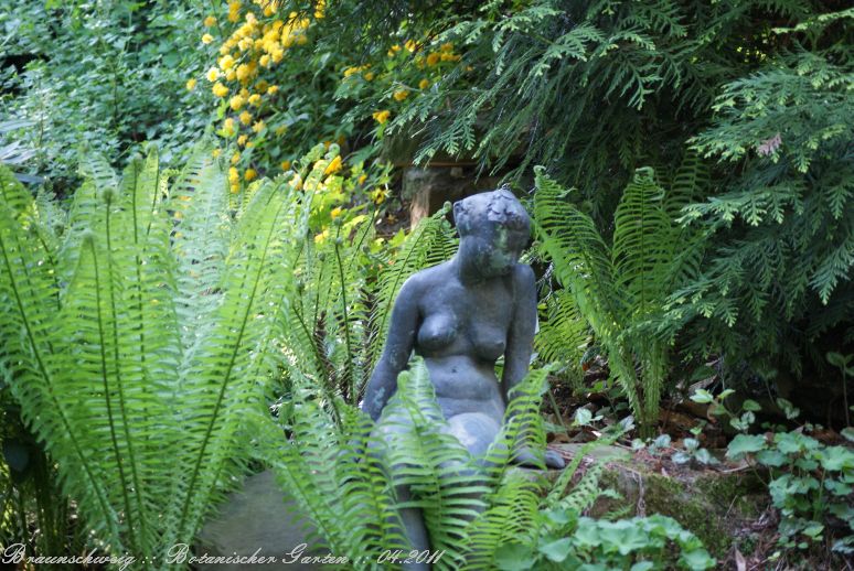 Braunschweig_Botanischer_Garten_2011_28