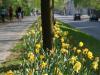 Braunschweig_Theaterwall_2011